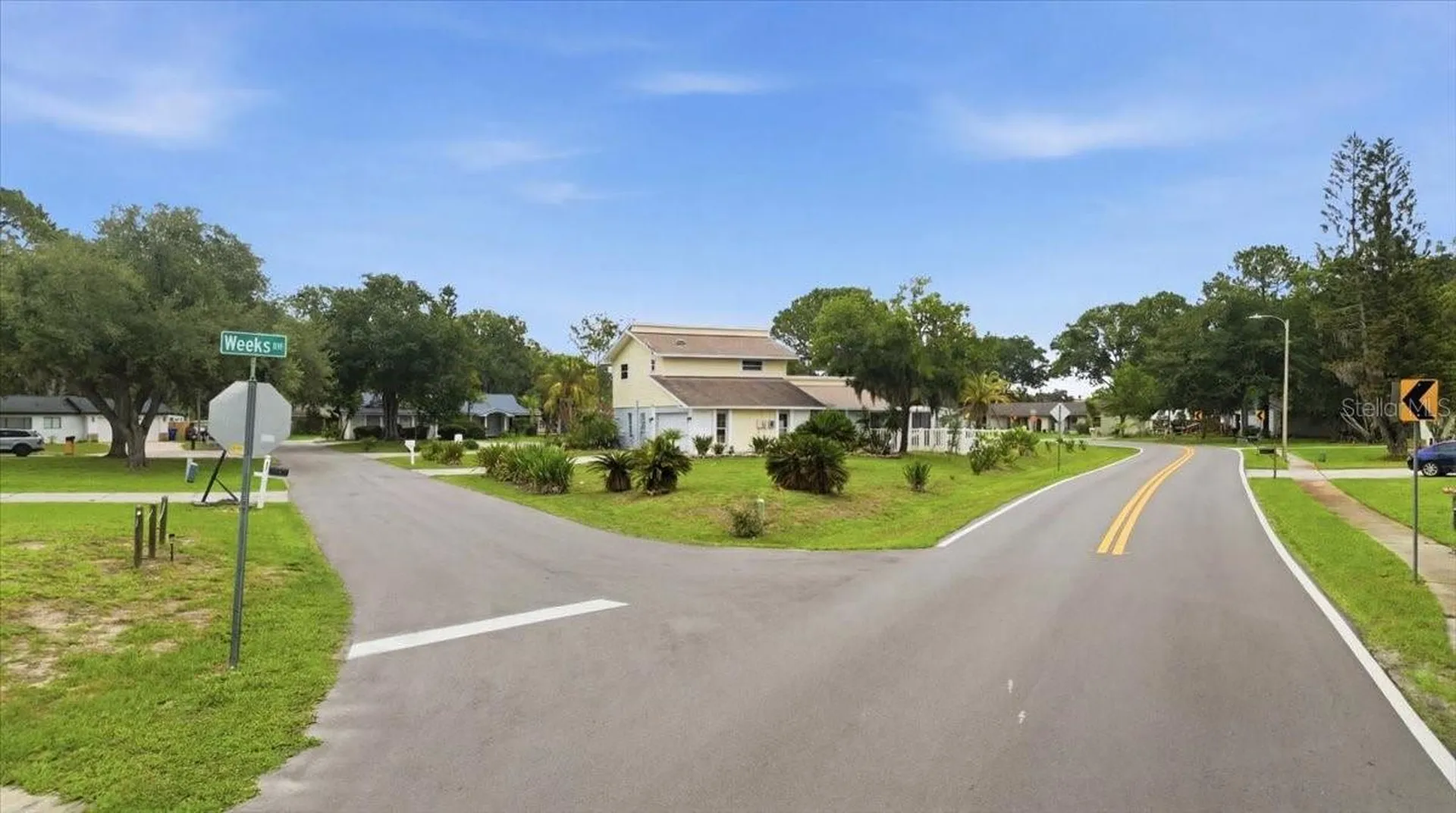 3235 Silkwood Loop Land O Lakes FL 34639