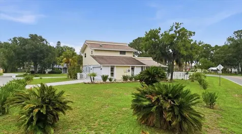 3235 Silkwood Loop Land O Lakes FL 34639