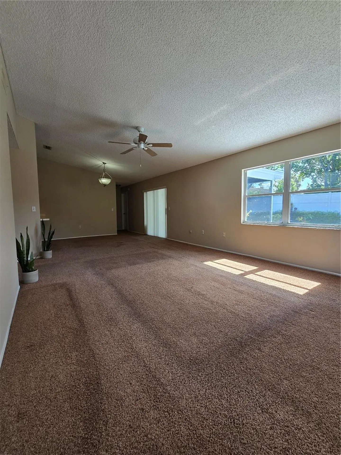 9836 Morehead Lane Port Richey FL 34668