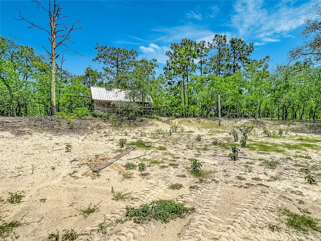 12126 Skimmer Avenue Weeki Wachee FL 34614