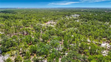 12126 Skimmer Avenue Weeki Wachee FL 34614