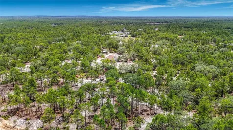 12126 Skimmer Avenue Weeki Wachee FL 34614