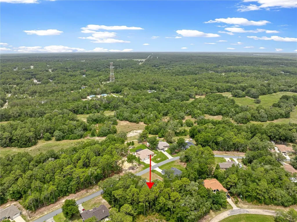 10065 N Langdon Road Citrus Springs FL 34434