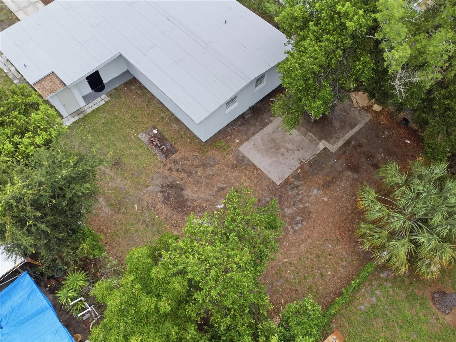 317 E Hydrangia Street Tampa FL 33612