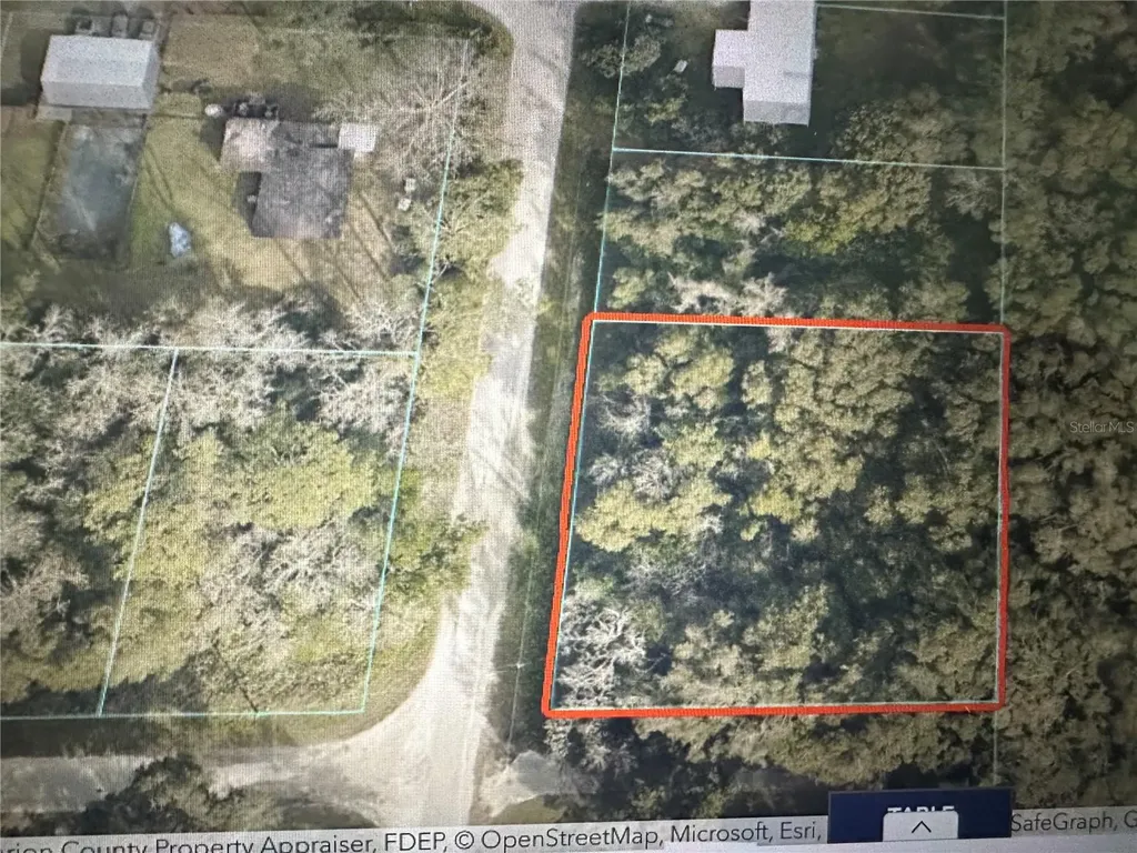 Tbd SE 44th Avenue Summerfield FL 34491