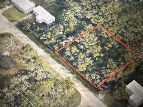 TBD SE 44th Avenue Summerfield FL 34491