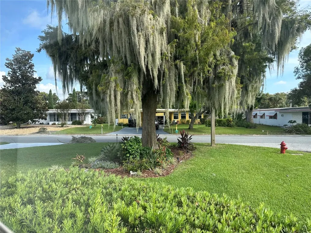 2409 Vindale Road Tavares FL 32778