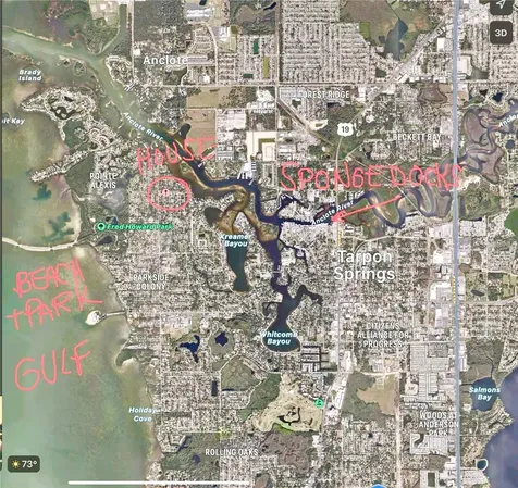 1334 Belcher Drive Tarpon Springs FL 34689