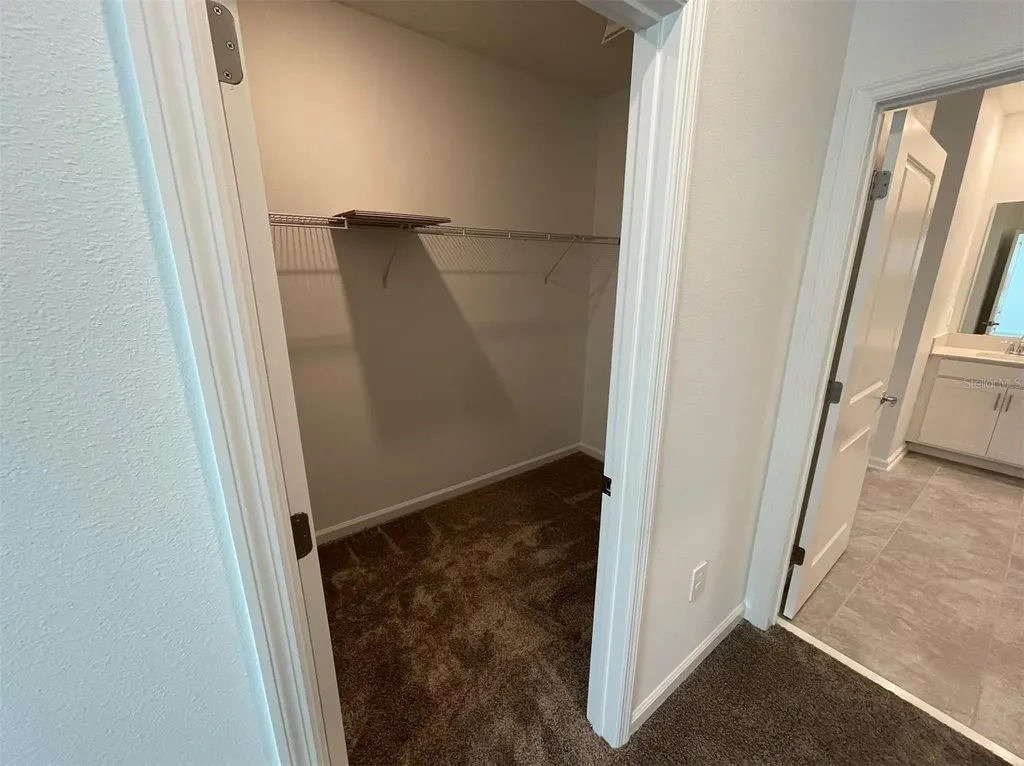 10163 Salt Point Drive Winter Garden FL 34787