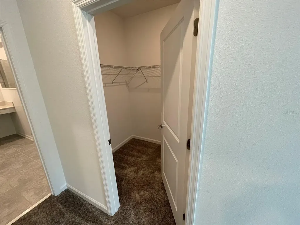 10163 Salt Point Drive Winter Garden FL 34787