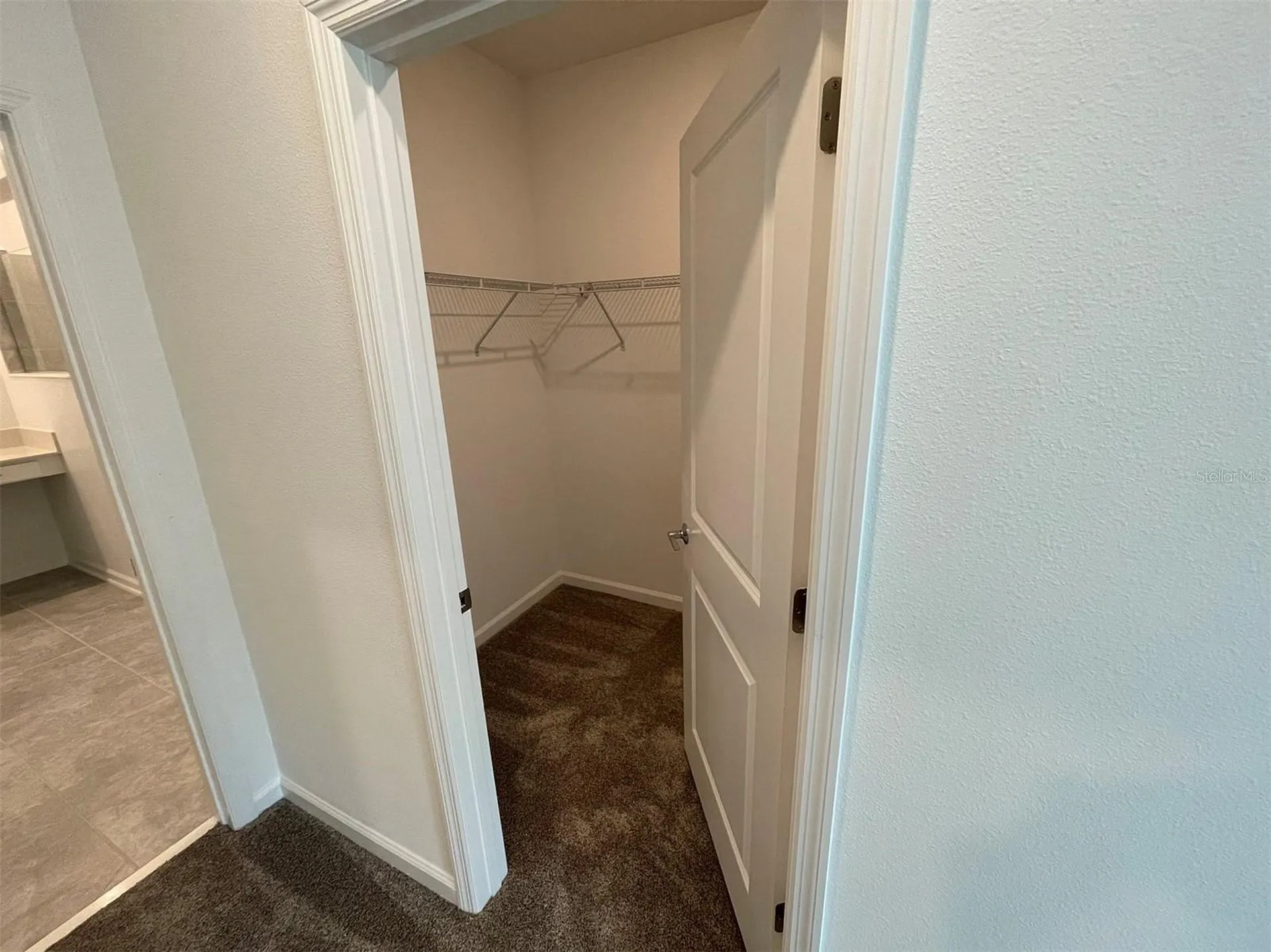10163 Salt Point Drive Winter Garden FL 34787