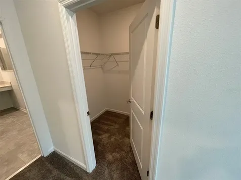 10163 Salt Point Drive Winter Garden FL 34787