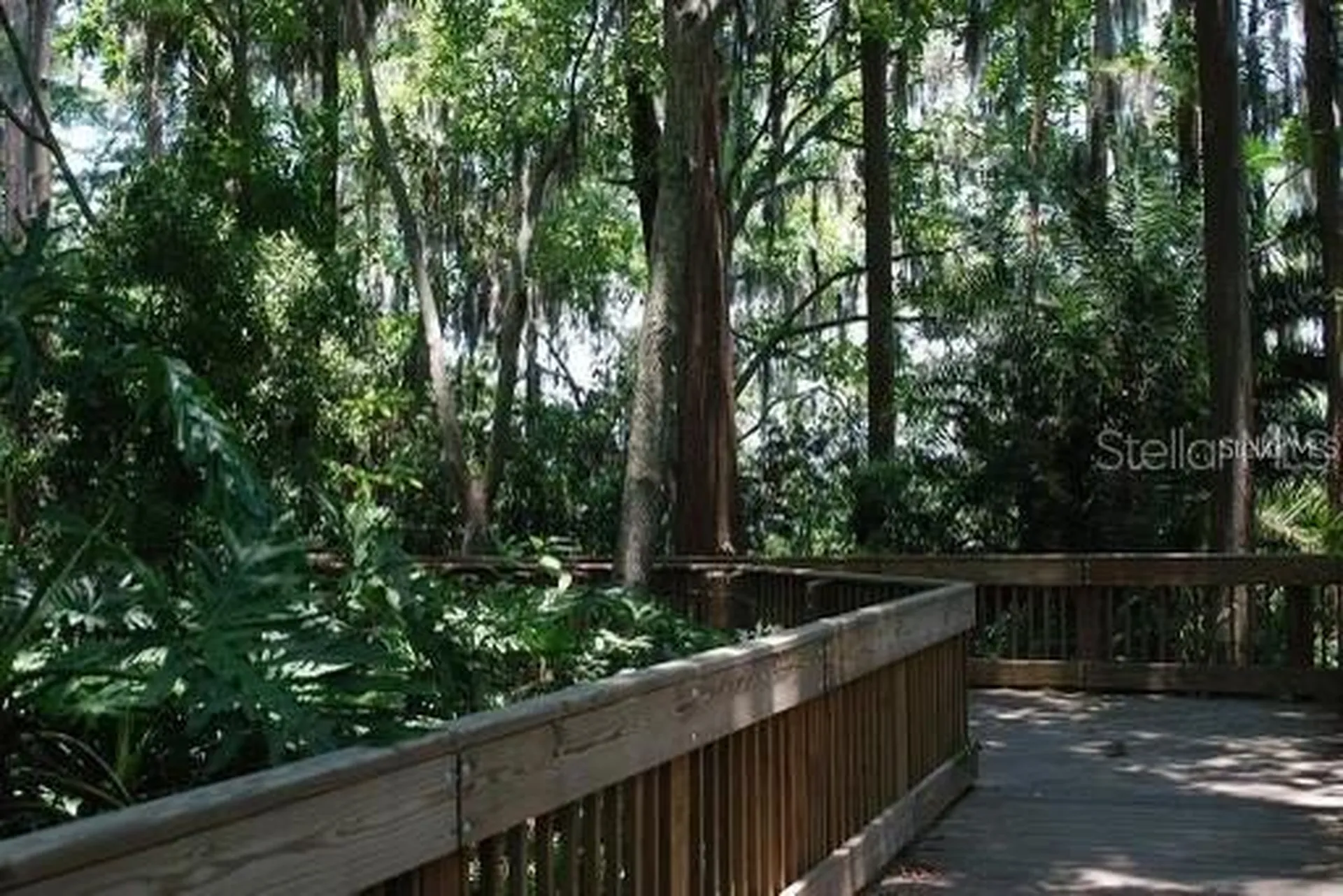 3256 Bentley Drive Palm Harbor FL 34684