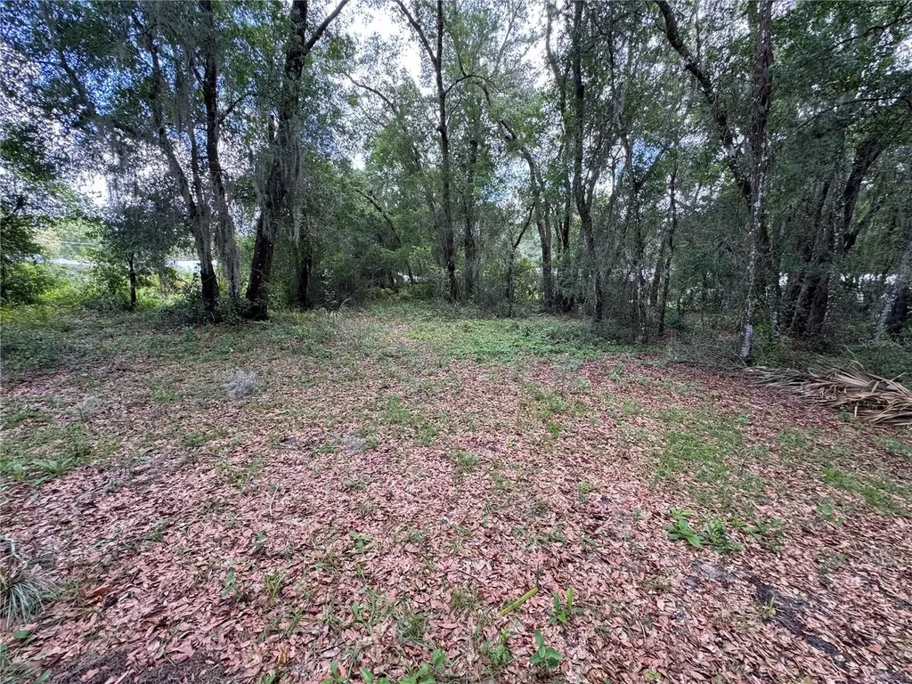 308 S Blue Lake Avenue Deland FL 32724