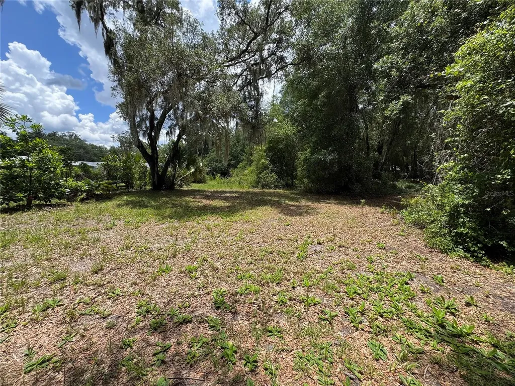 308 S Blue Lake Avenue Deland FL 32724