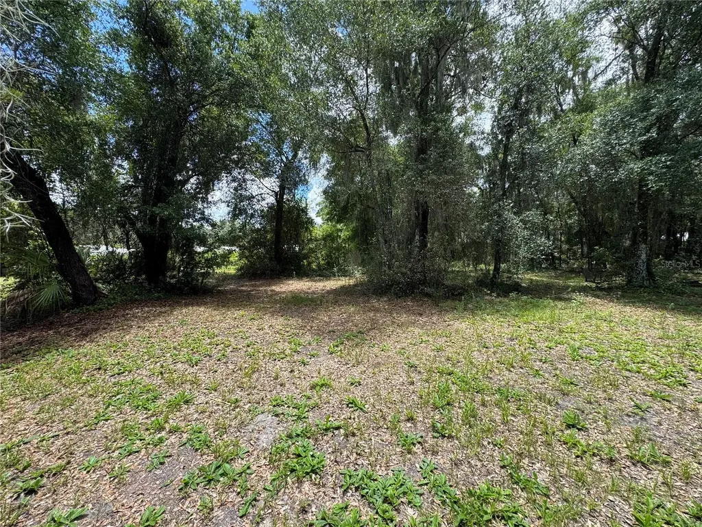 308 S Blue Lake Avenue Deland FL 32724