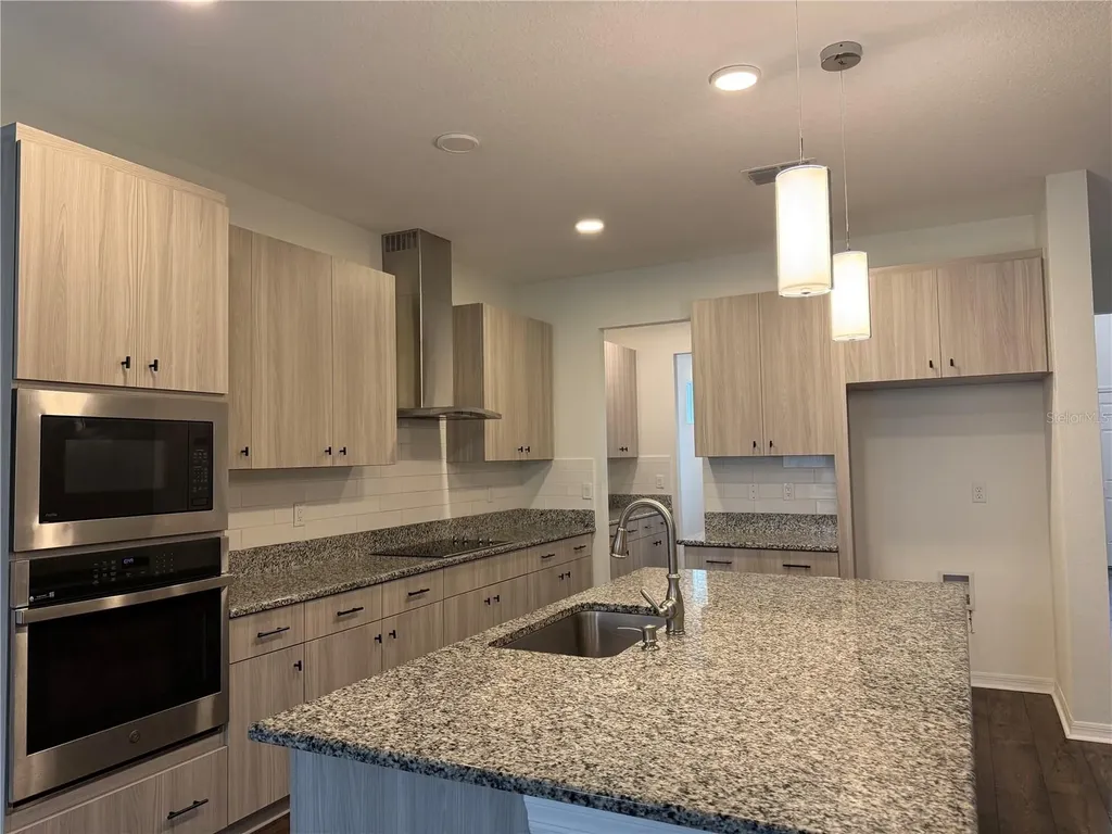 33263 Sycamore Leaf Drive Wesley Chapel FL 33545