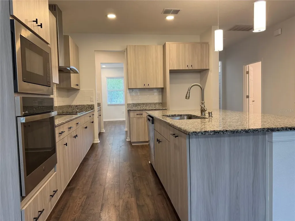 33263 Sycamore Leaf Drive Wesley Chapel FL 33545
