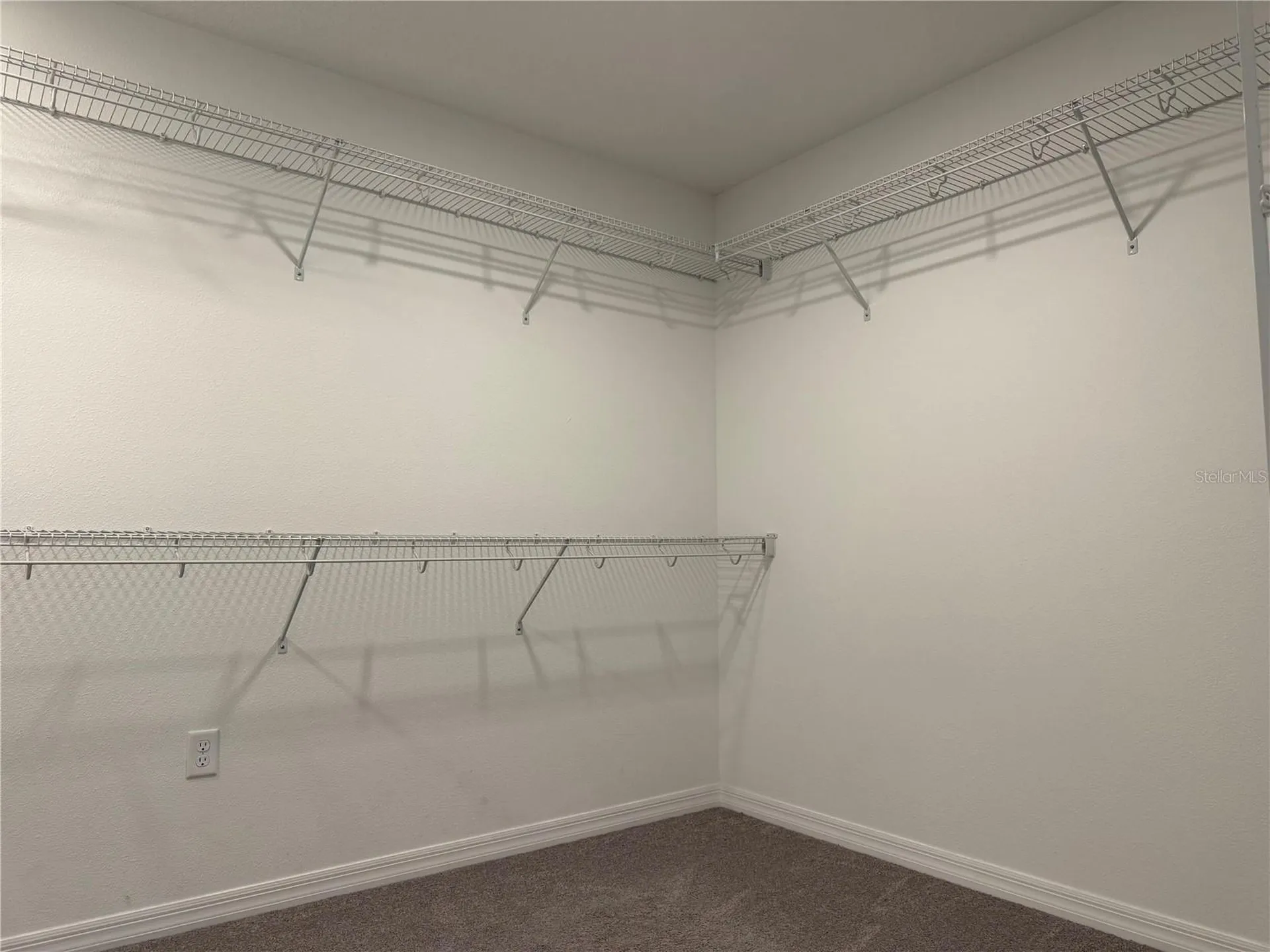 33263 Sycamore Leaf Drive Wesley Chapel FL 33545