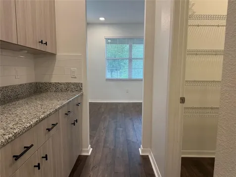 33263 Sycamore Leaf Drive Wesley Chapel FL 33545