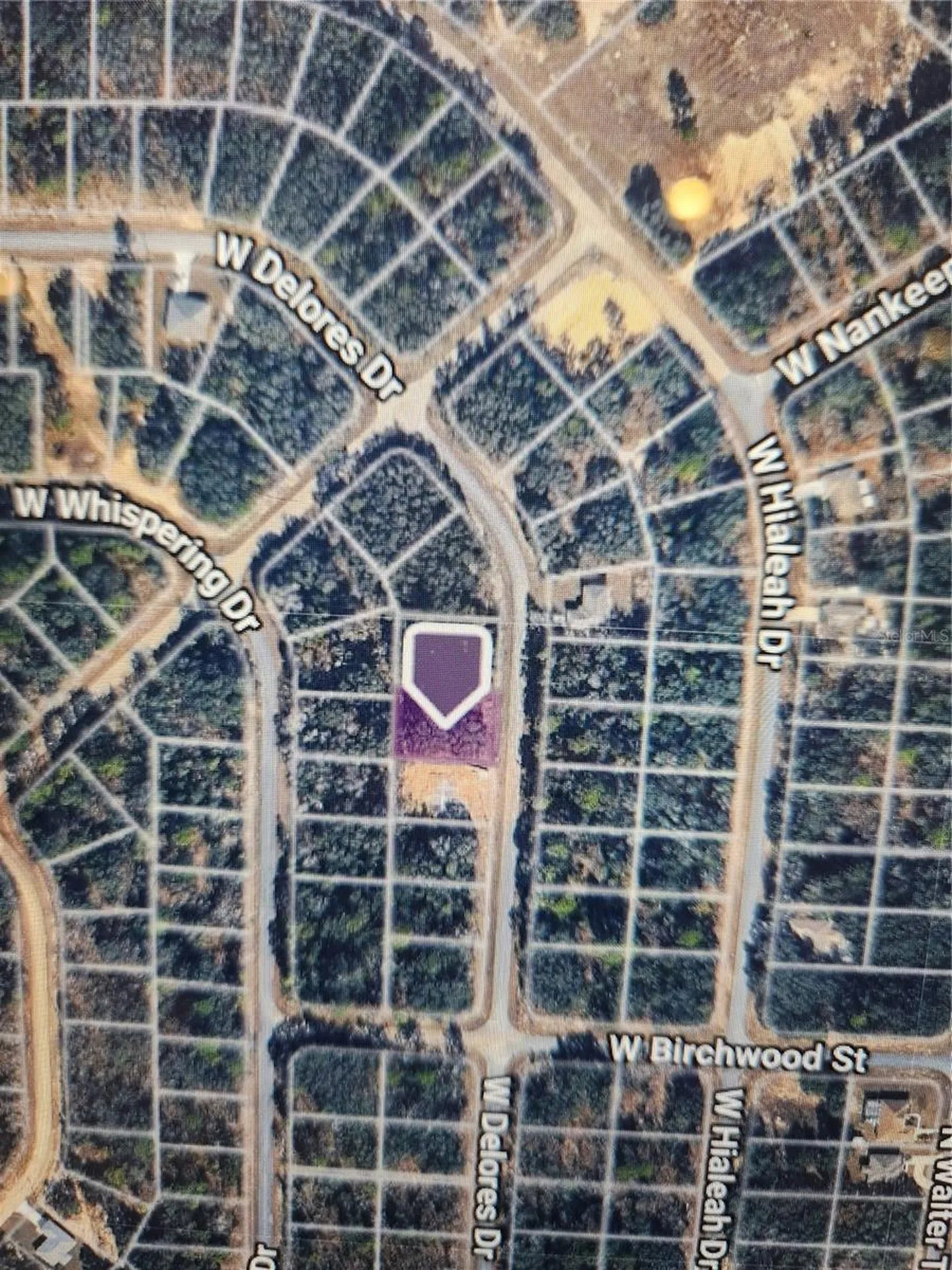 1360 W Dolores Drive Citrus Springs FL 34434