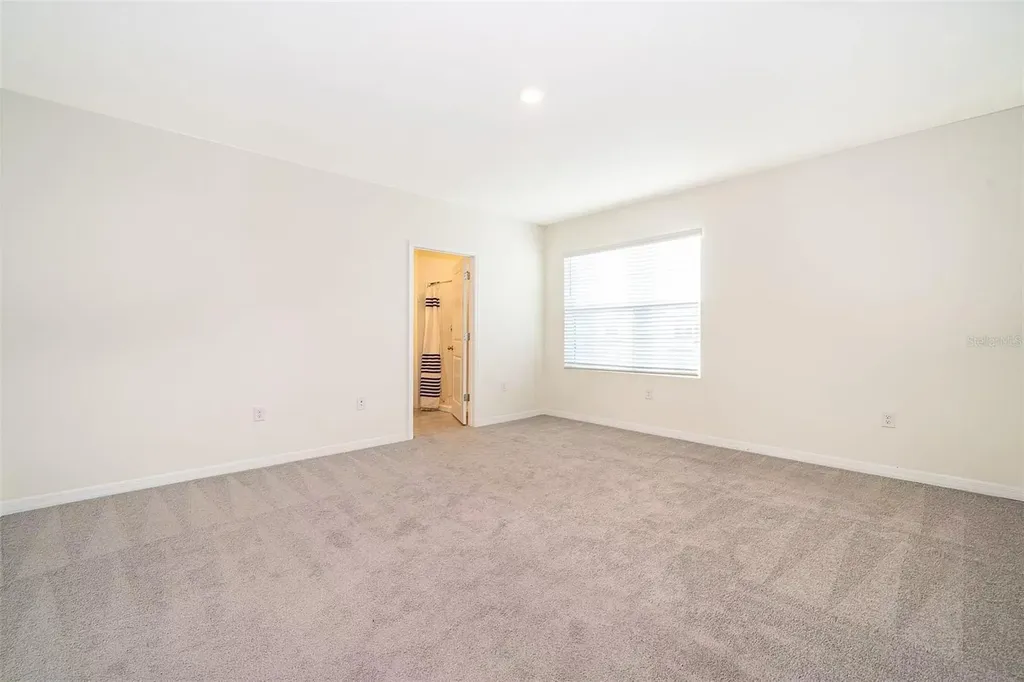 30915 Penny Surf Loop Wesley Chapel FL 33545