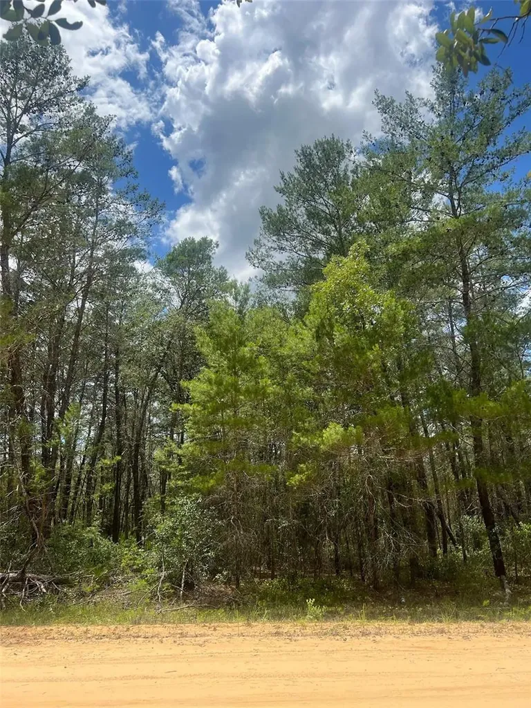 Neilson Avenue Interlachen FL 32148