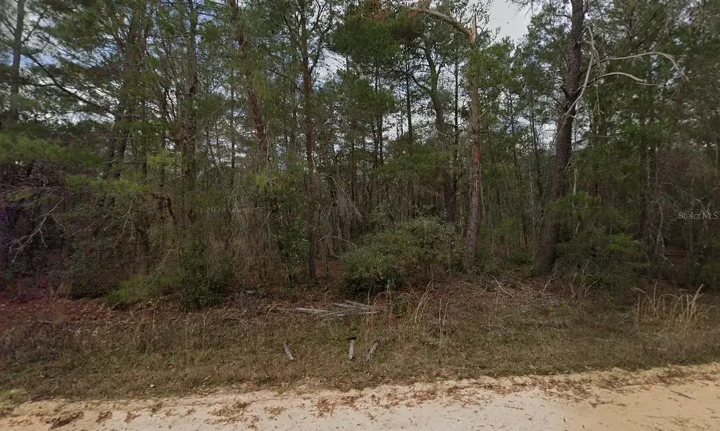 Neilson Avenue Interlachen FL 32148