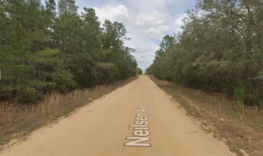 Neilson Avenue Interlachen FL 32148