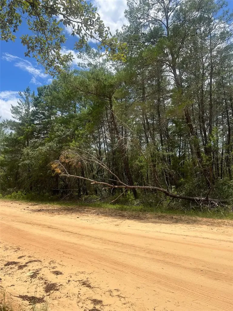 Neilson Avenue Interlachen FL 32148