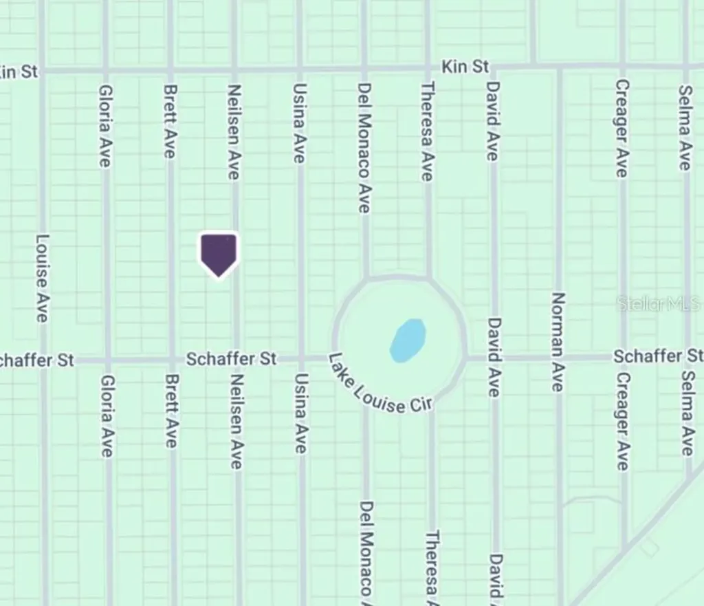 Neilson Avenue Interlachen FL 32148