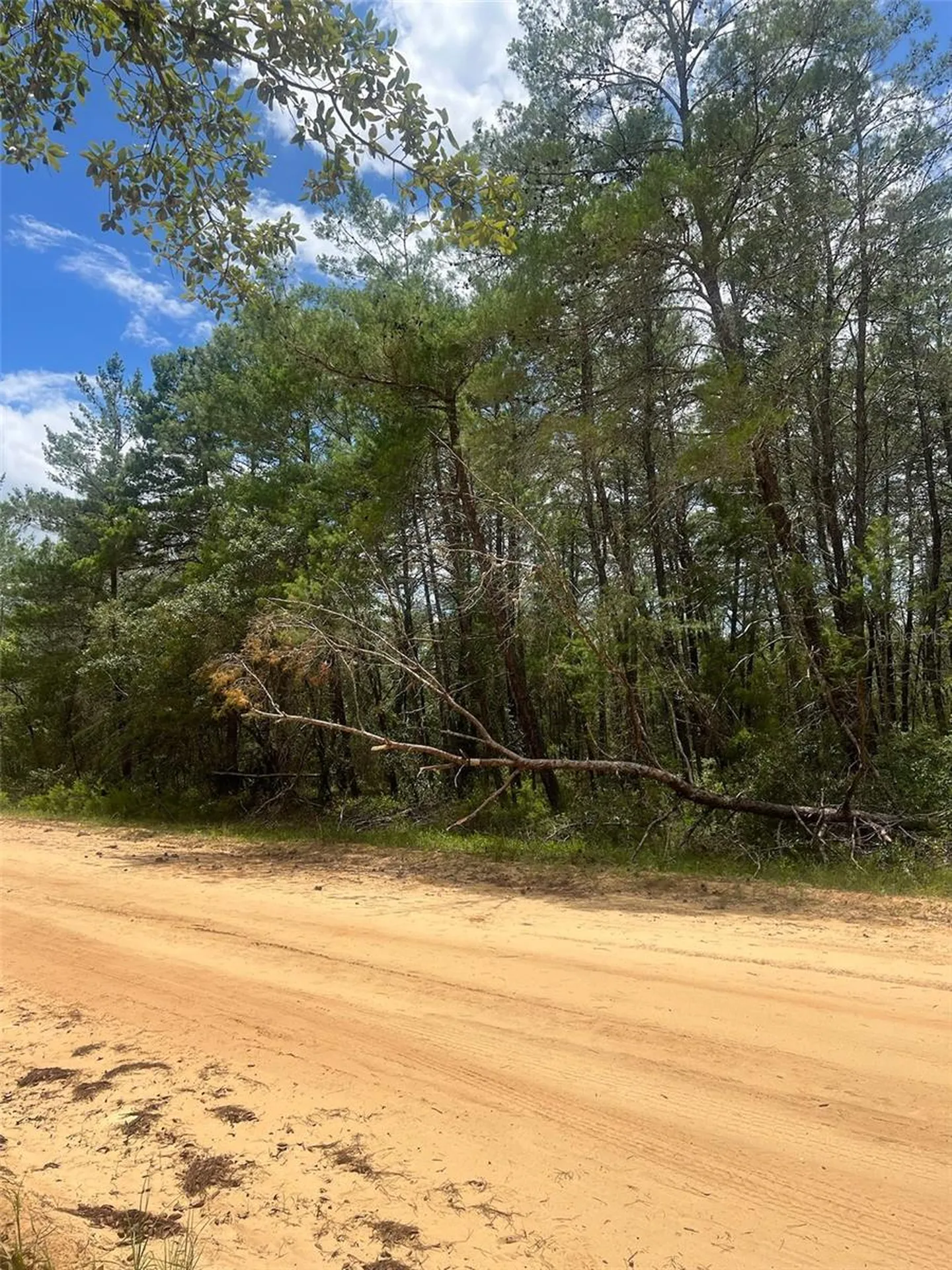 Neilson Avenue Interlachen FL 32148