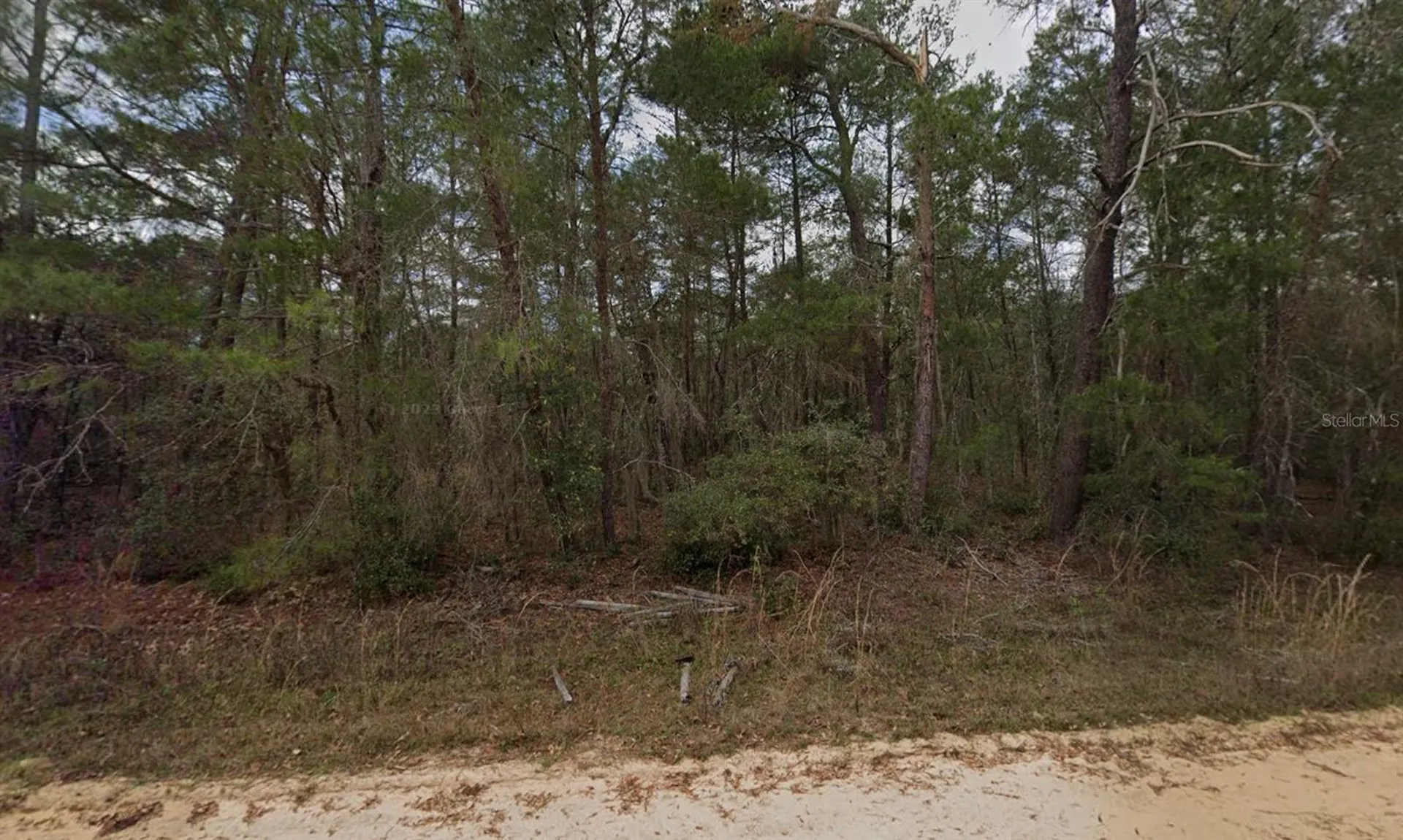 Neilson Avenue Interlachen FL 32148
