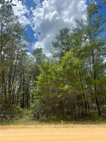 Neilson Avenue Interlachen FL 32148