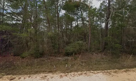 Neilson Avenue Interlachen FL 32148