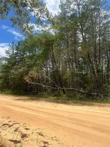 Neilson Avenue Interlachen FL 32148