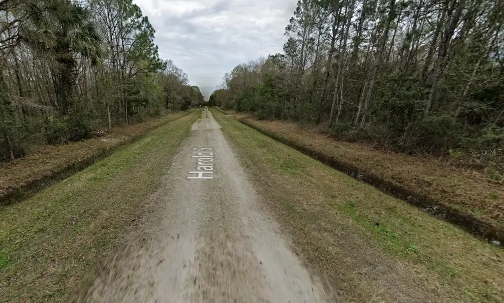 4530 Harold Street Hastings FL 32145