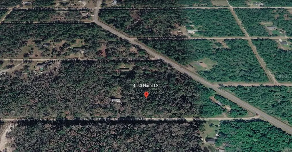 4530 Harold Street Hastings FL 32145