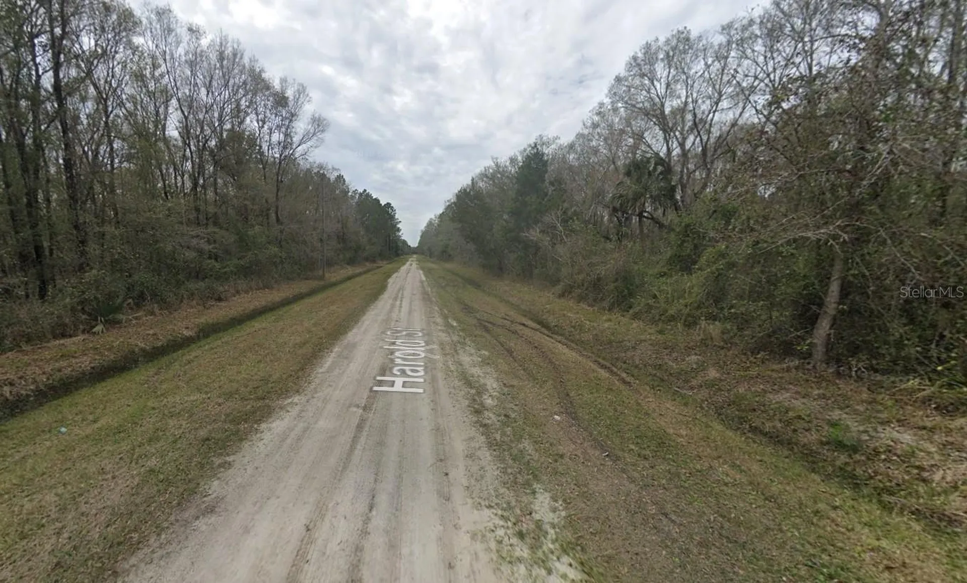 4530 Harold Street Hastings FL 32145