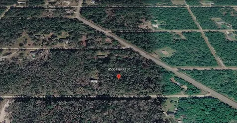 4530 Harold Street Hastings FL 32145