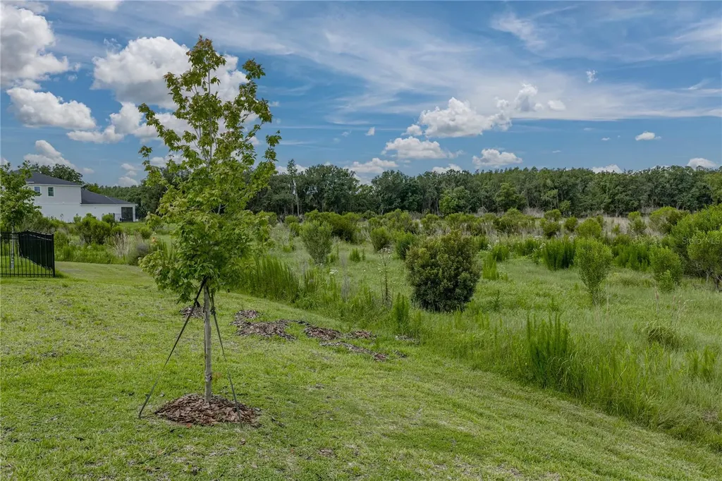 12253 Cattleside Drive Riverview FL 33579