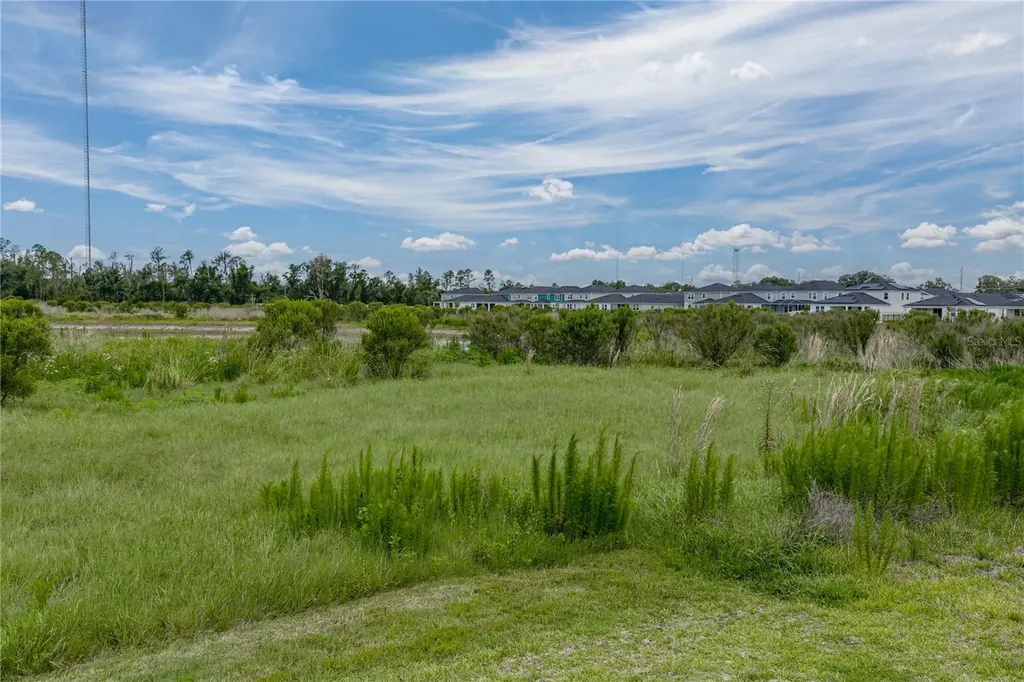 12253 Cattleside Drive Riverview FL 33579