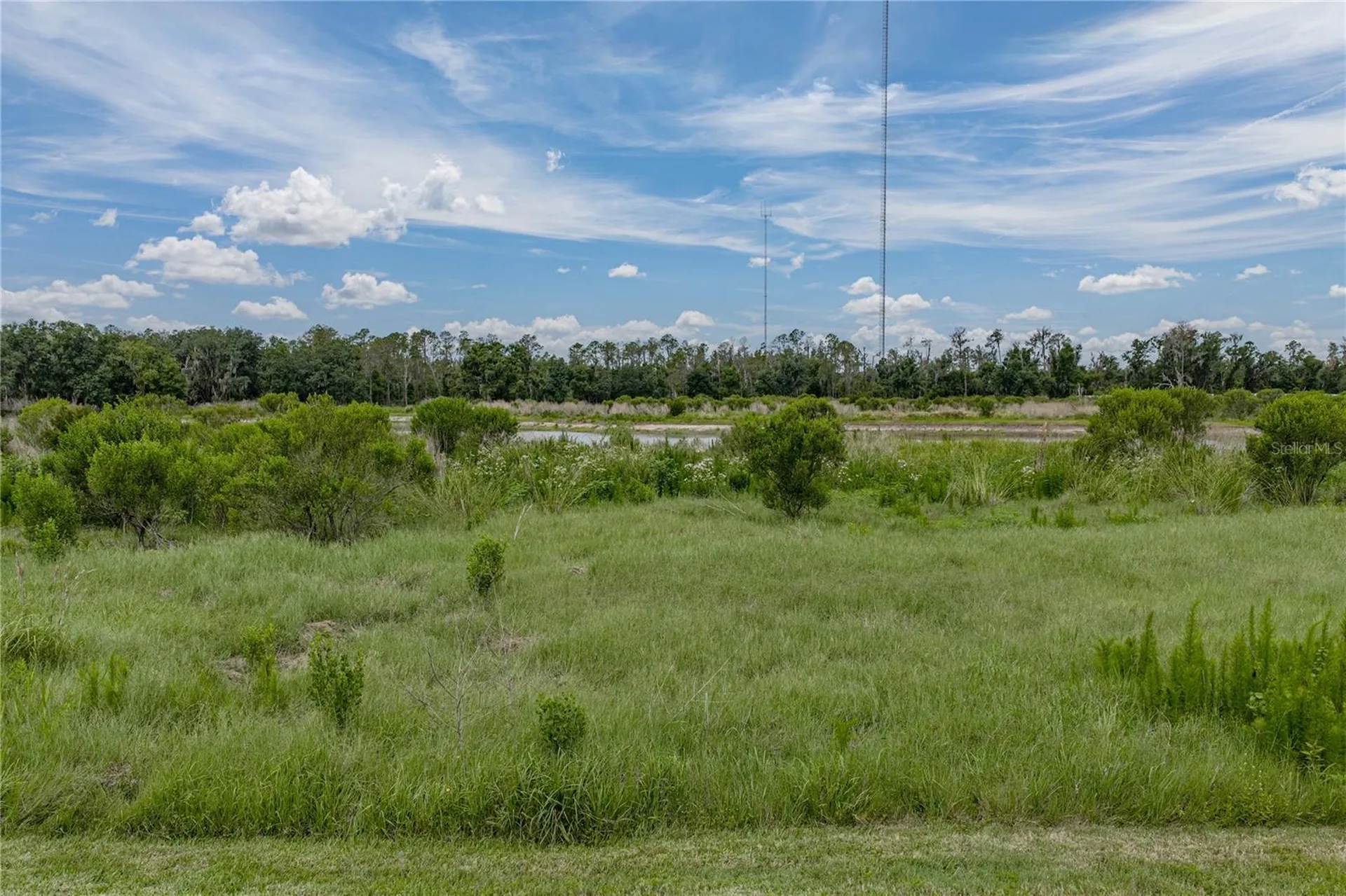 12253 Cattleside Drive Riverview FL 33579