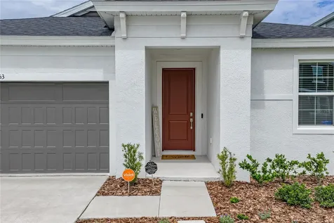 12253 Cattleside Drive Riverview FL 33579