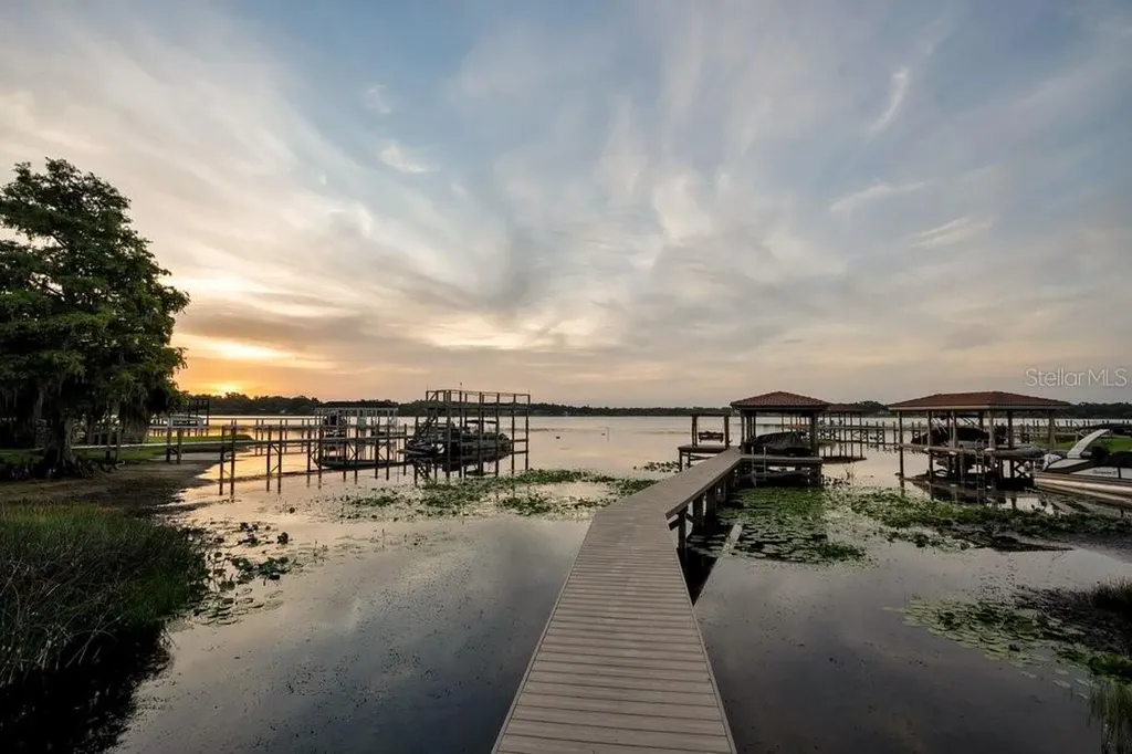 2503 Butler Bay Drive N Windermere FL 34786