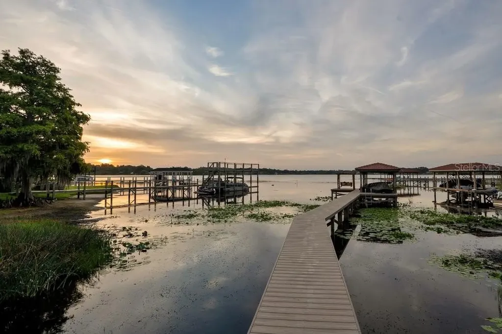 2503 Butler Bay Drive N Windermere FL 34786