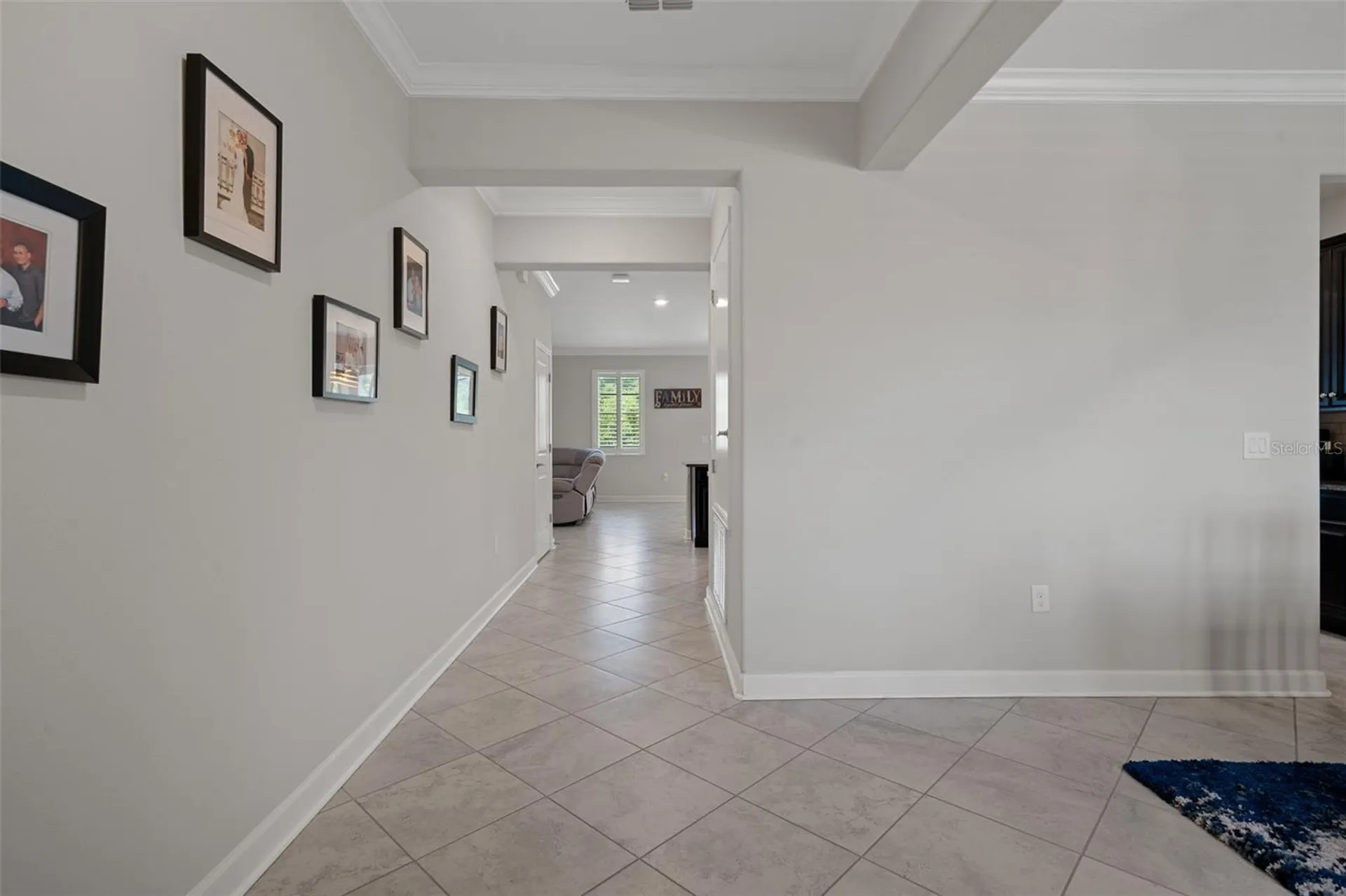 8755 Flourish Drive Land O Lakes FL 34637