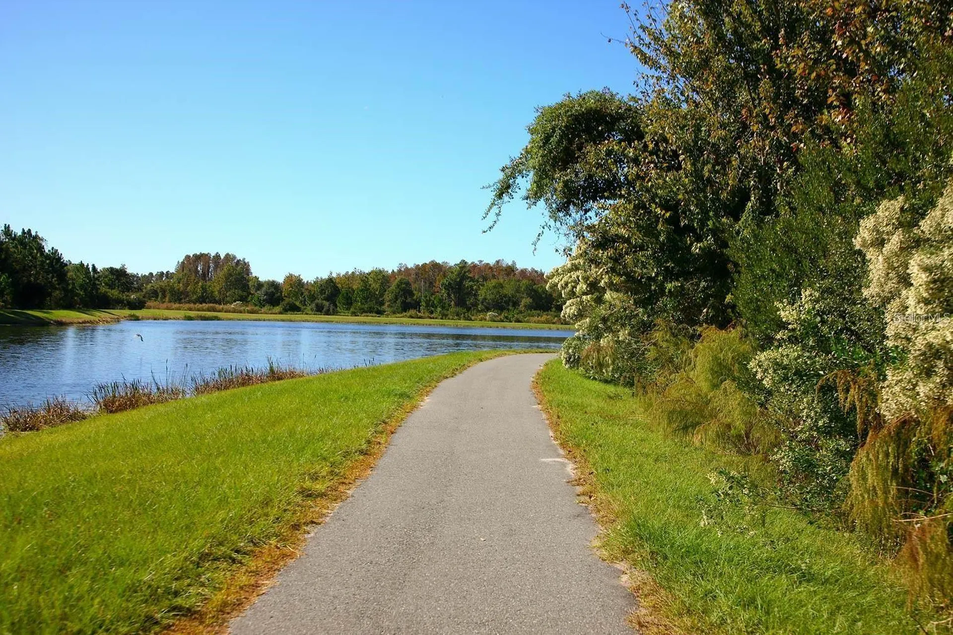 8755 Flourish Drive Land O Lakes FL 34637