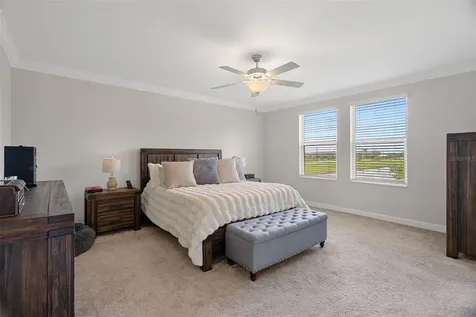 8755 Flourish Drive Land O Lakes FL 34637
