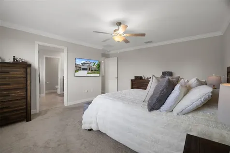 8755 Flourish Drive Land O Lakes FL 34637